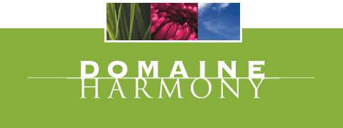 Logo domaine harmony
